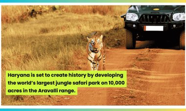 Haryana to Develop World’s Largest Jungle Safari Park in Aravalli Range
